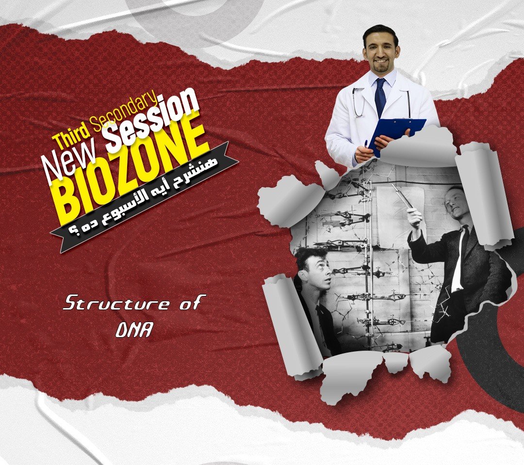 شرح المحاضرة الثانية